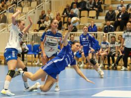 Kristinn Steinn Traustason)