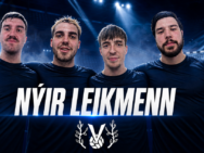 Víðir