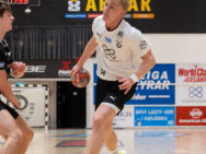 {{brizy_dc_image_alt entityId=