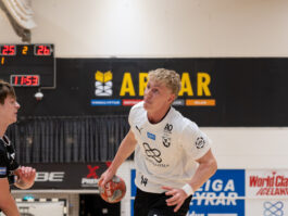 {{brizy_dc_image_alt entityId=