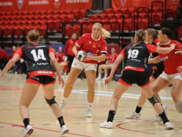 {{brizy_dc_image_alt entityId=