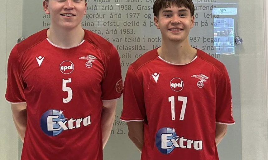Valur handbolti)