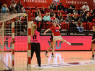 {{brizy_dc_image_alt entityId=