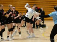 {{brizy_dc_image_alt entityId=