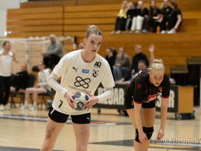 {{brizy_dc_image_alt entityId=