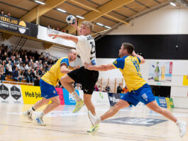 {{brizy_dc_image_alt entityId=