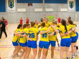 {{brizy_dc_image_alt entityId=