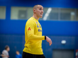 {{brizy_dc_image_alt entityId=