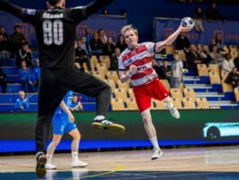 {{brizy_dc_image_alt entityId=