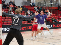 {{brizy_dc_image_alt entityId=