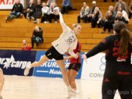 Brynja T.