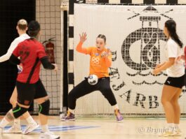 Brynja T.)