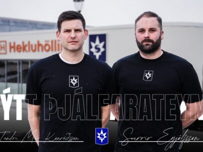 {{brizy_dc_image_alt entityId=