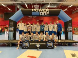 {{brizy_dc_image_alt entityId=