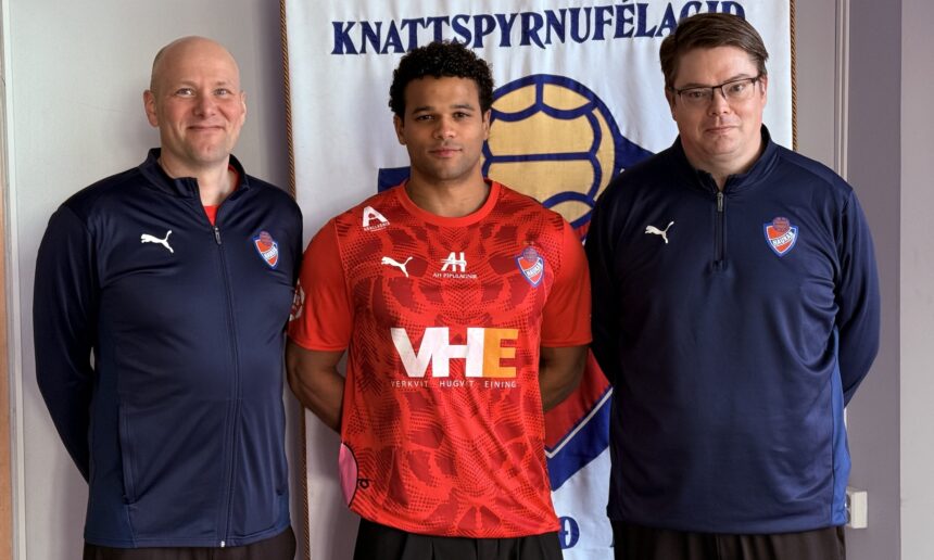 Haukar topphandbolti