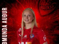 Haukar