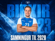 Víðir