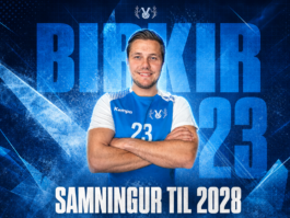 Víðir