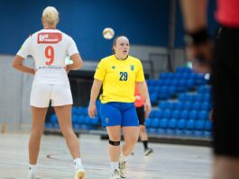 Toggi Pop