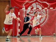 {{brizy_dc_image_alt entityId=