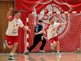 {{brizy_dc_image_alt entityId=