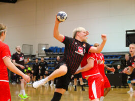 {{brizy_dc_image_alt entityId=