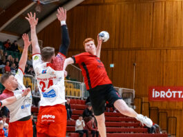 {{brizy_dc_image_alt entityId=