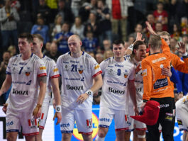 {{brizy_dc_image_alt entityId=