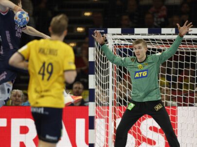 {{brizy_dc_image_alt entityId=