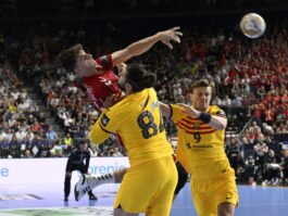 {{brizy_dc_image_alt entityId=