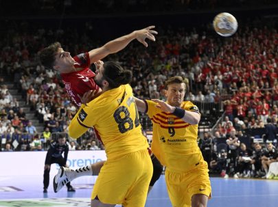 {{brizy_dc_image_alt entityId=