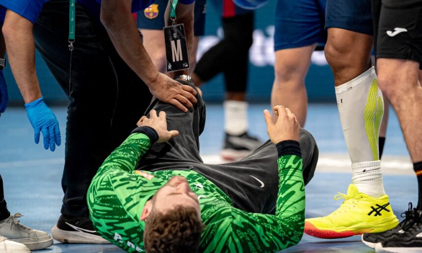 {{brizy_dc_image_alt entityId=