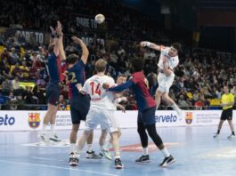 {{brizy_dc_image_alt entityId=