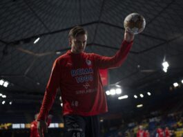 {{brizy_dc_image_alt entityId=