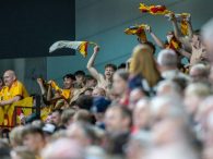 {{brizy_dc_image_alt entityId=