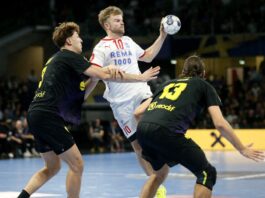 {{brizy_dc_image_alt entityId=