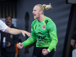 {{brizy_dc_image_alt entityId=