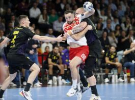 {{brizy_dc_image_alt entityId=