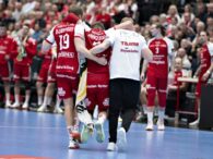 {{brizy_dc_image_alt entityId=