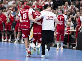 {{brizy_dc_image_alt entityId=