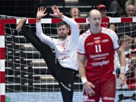 {{brizy_dc_image_alt entityId=