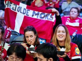 {{brizy_dc_image_alt entityId=