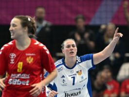 {{brizy_dc_image_alt entityId=