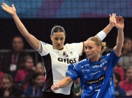 FEDERICO GAMBARINI / AFP