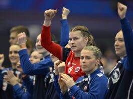 {{brizy_dc_image_alt entityId=