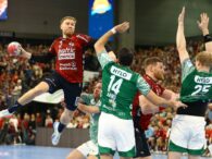 {{brizy_dc_image_alt entityId=