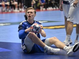 {{brizy_dc_image_alt entityId=