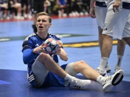 {{brizy_dc_image_alt entityId=