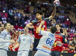 {{brizy_dc_image_alt entityId=