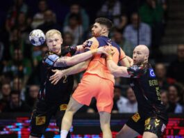 {{brizy_dc_image_alt entityId=